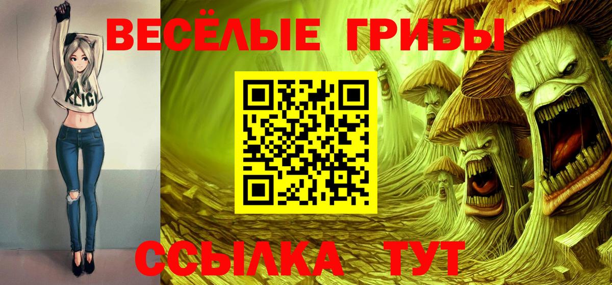 Псилоцибиновые грибы MAGIC MUSHROOMS  Вход с VPN  Курчалой 