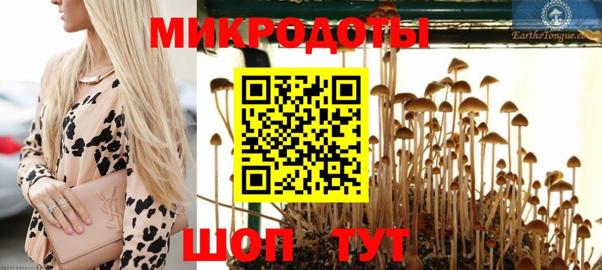Псилоцибиновые грибы мицелий Курчалой